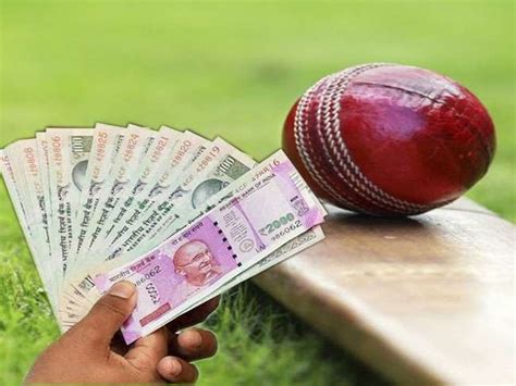 cricket betting rates